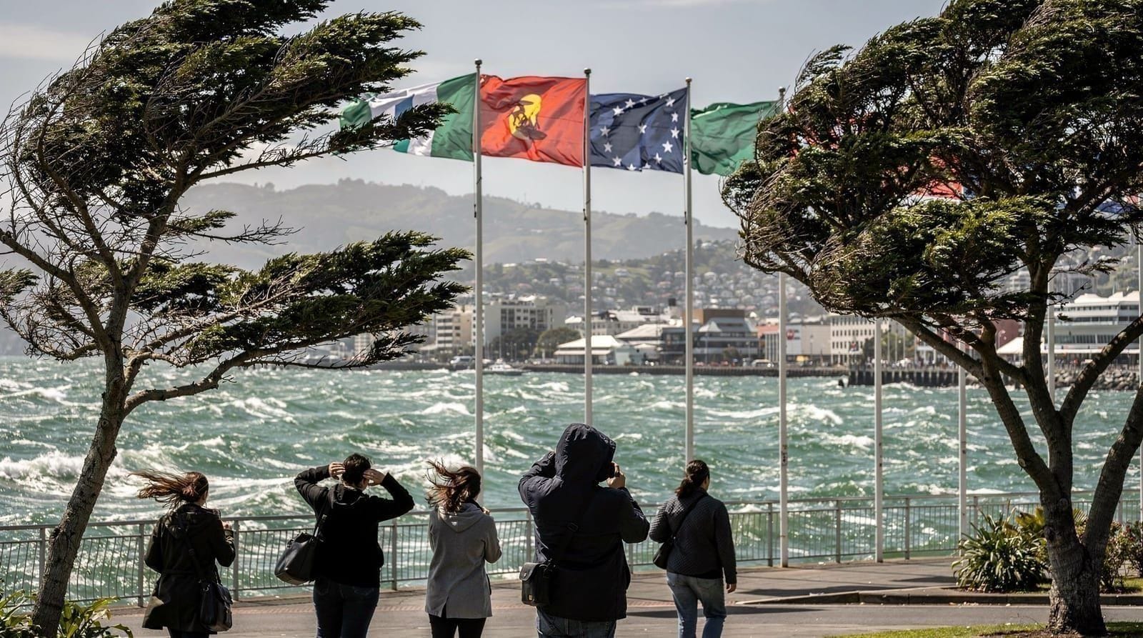 How windy is Wellington, really? — A factual look at Wellington's famous wind — how strong it actually gets, which 