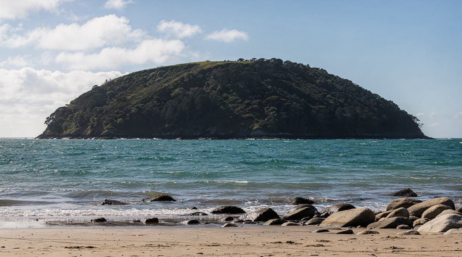 Kāpiti Island booking guide — How to actually book a Kāpiti Island visit — permit requirements, ferry timing, 
