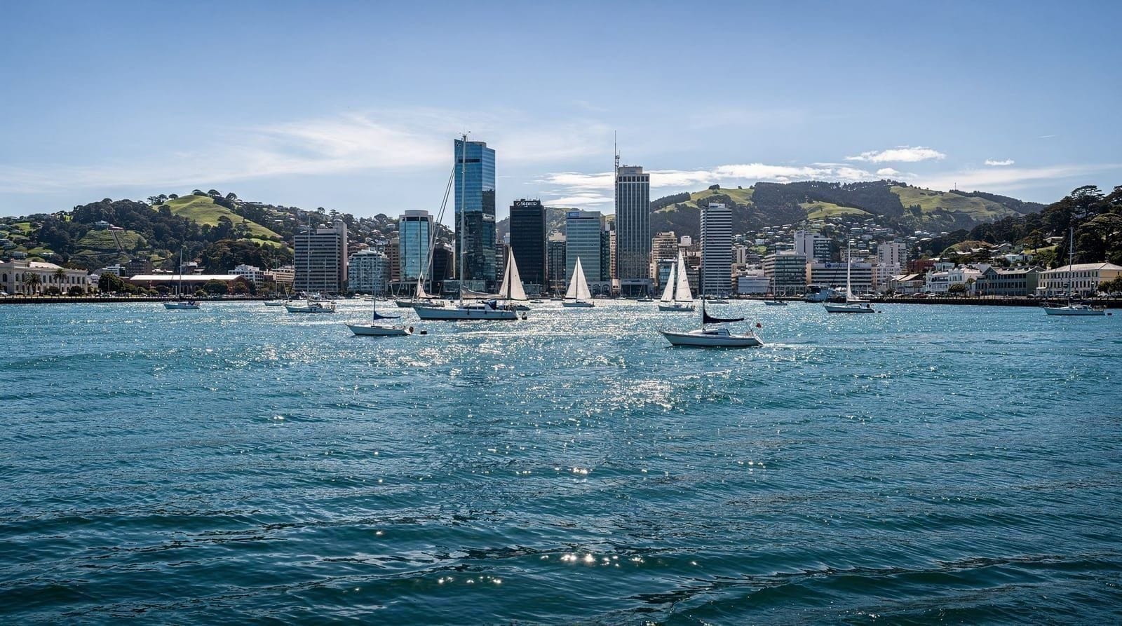 Comparisons — Wellington vs Auckland, Interislander vs Bluebridge, Martinborough vs Marlboroug