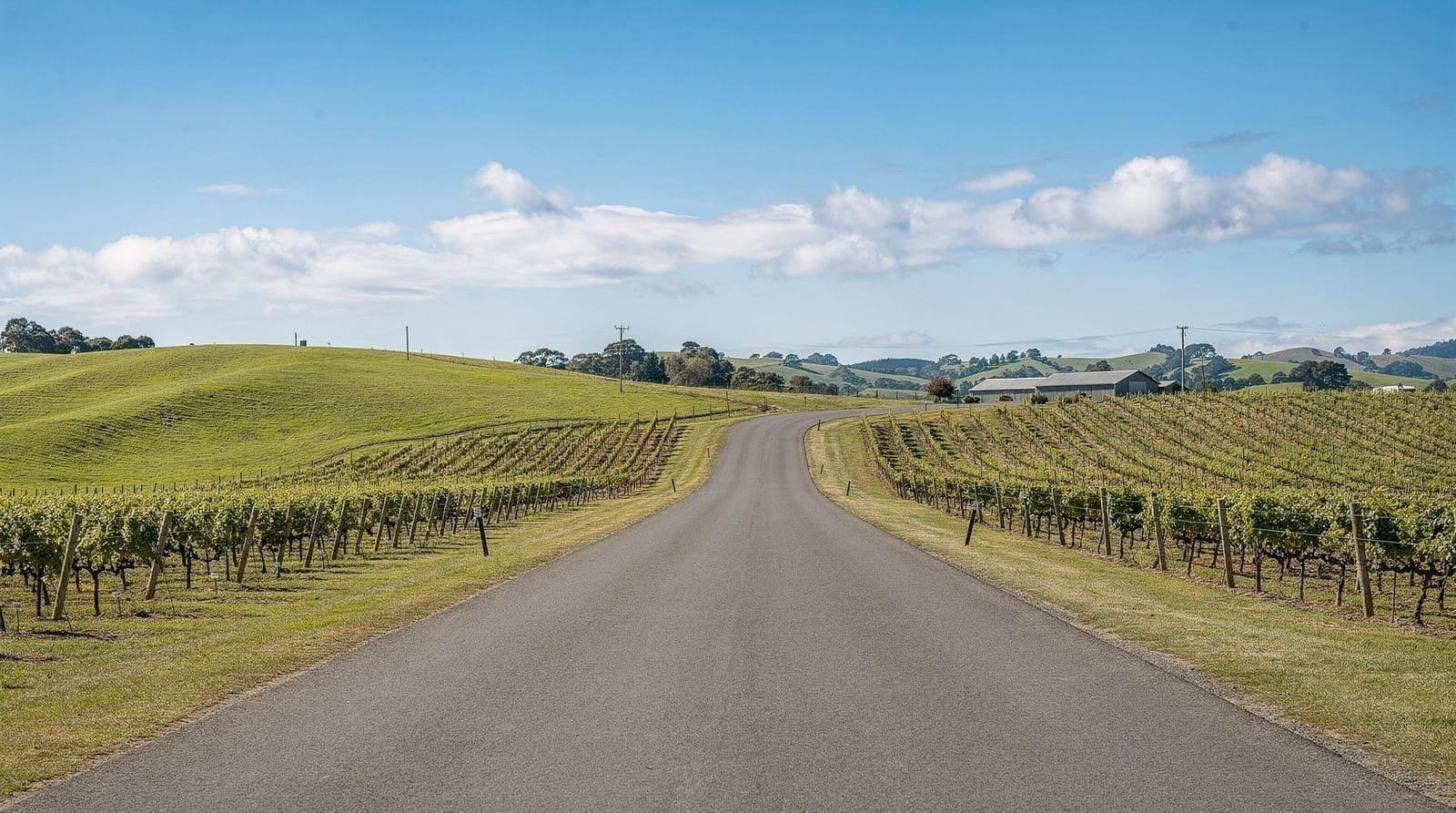 Day trips — Martinborough wine country, Kāpiti Island and the ferry to Picton and Marlboroug