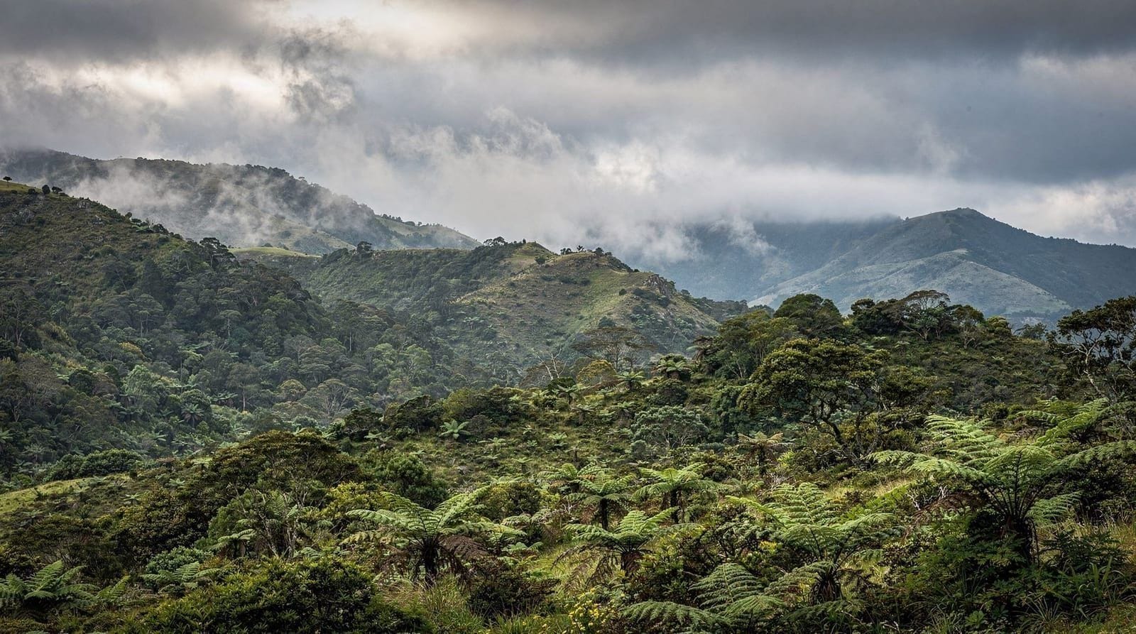 Film locations — LOTR filming locations, Weta Workshop, the Miramar film district and Wellywood