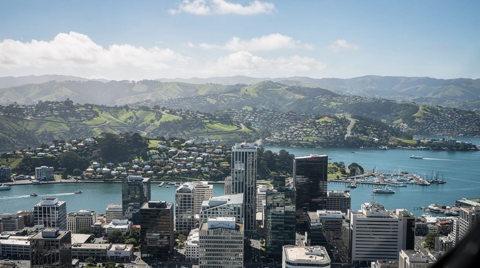 Helicopter and scenic flights over Wellington