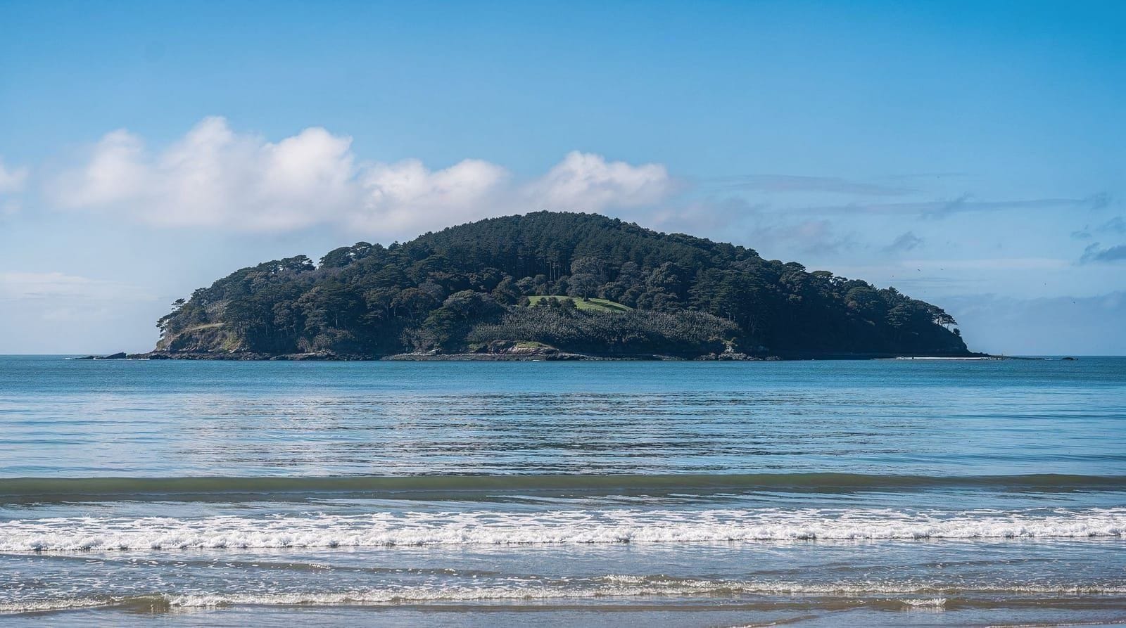 Kapiti Island: Classic Guided Day Tour
