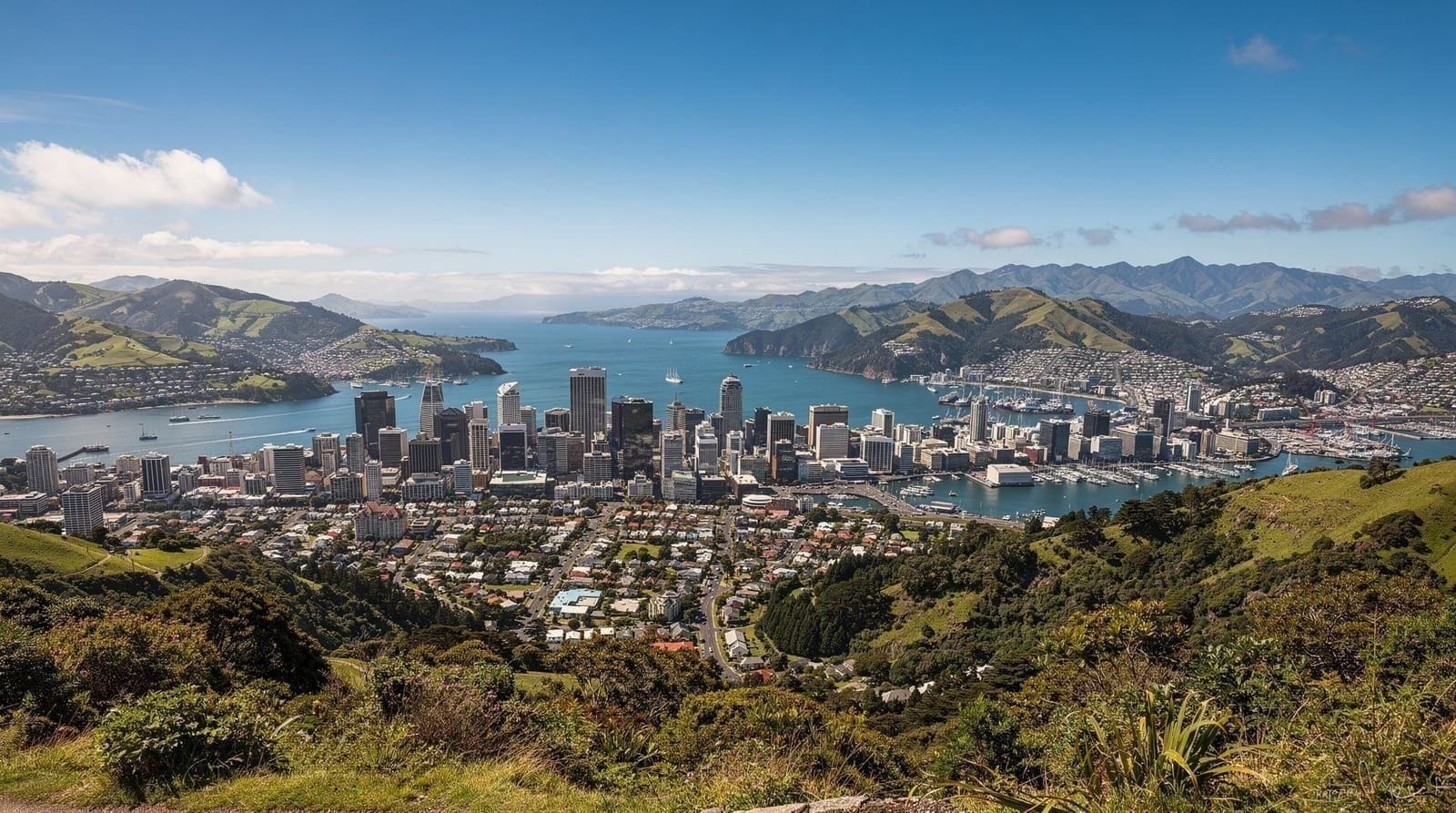 Mount Victoria lookout guide