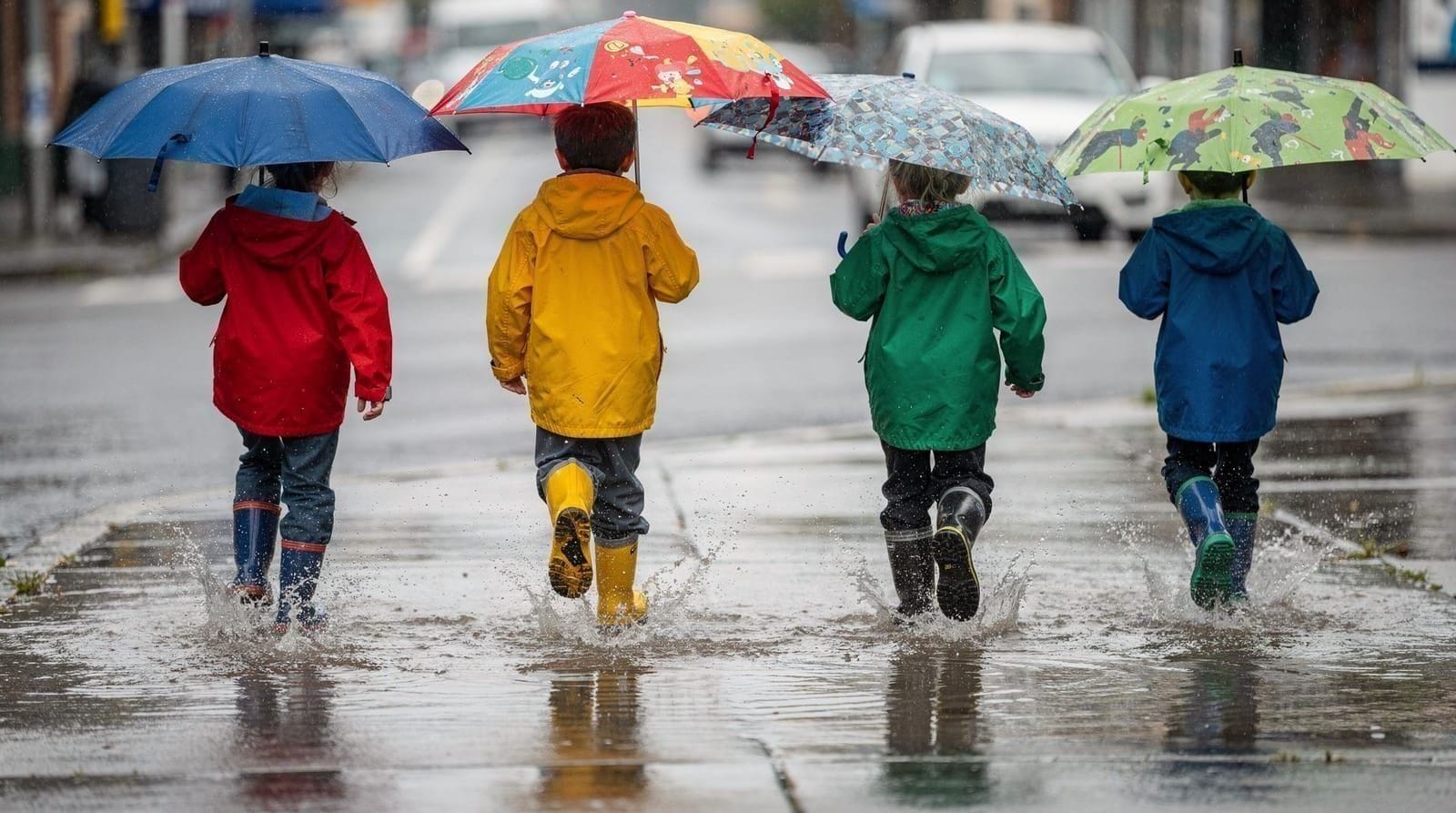 Regentag in Wellington mit Kindern