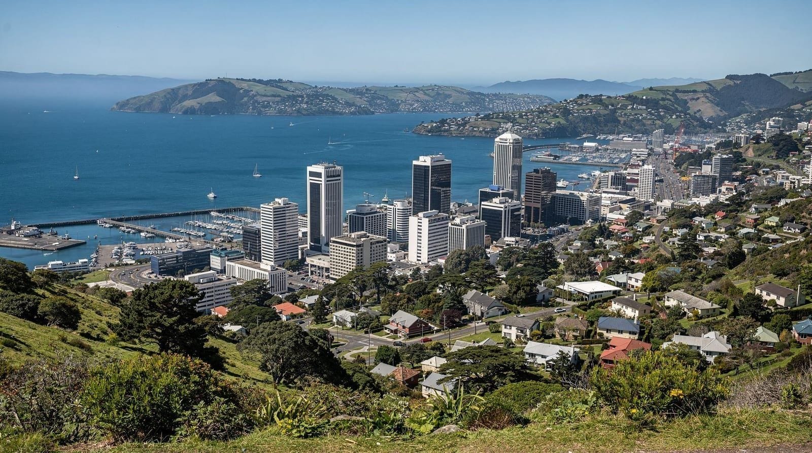 Wellington in 1 giorno: come sfruttare al meglio una visita breve