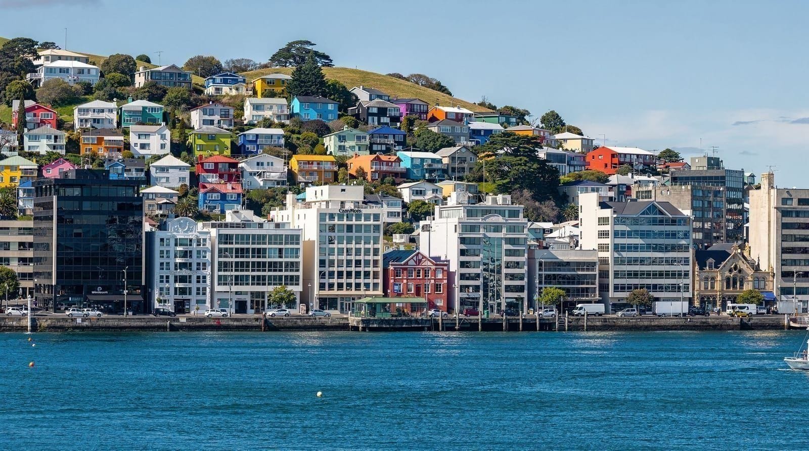Wellington in 2 giorni: l'itinerario completo