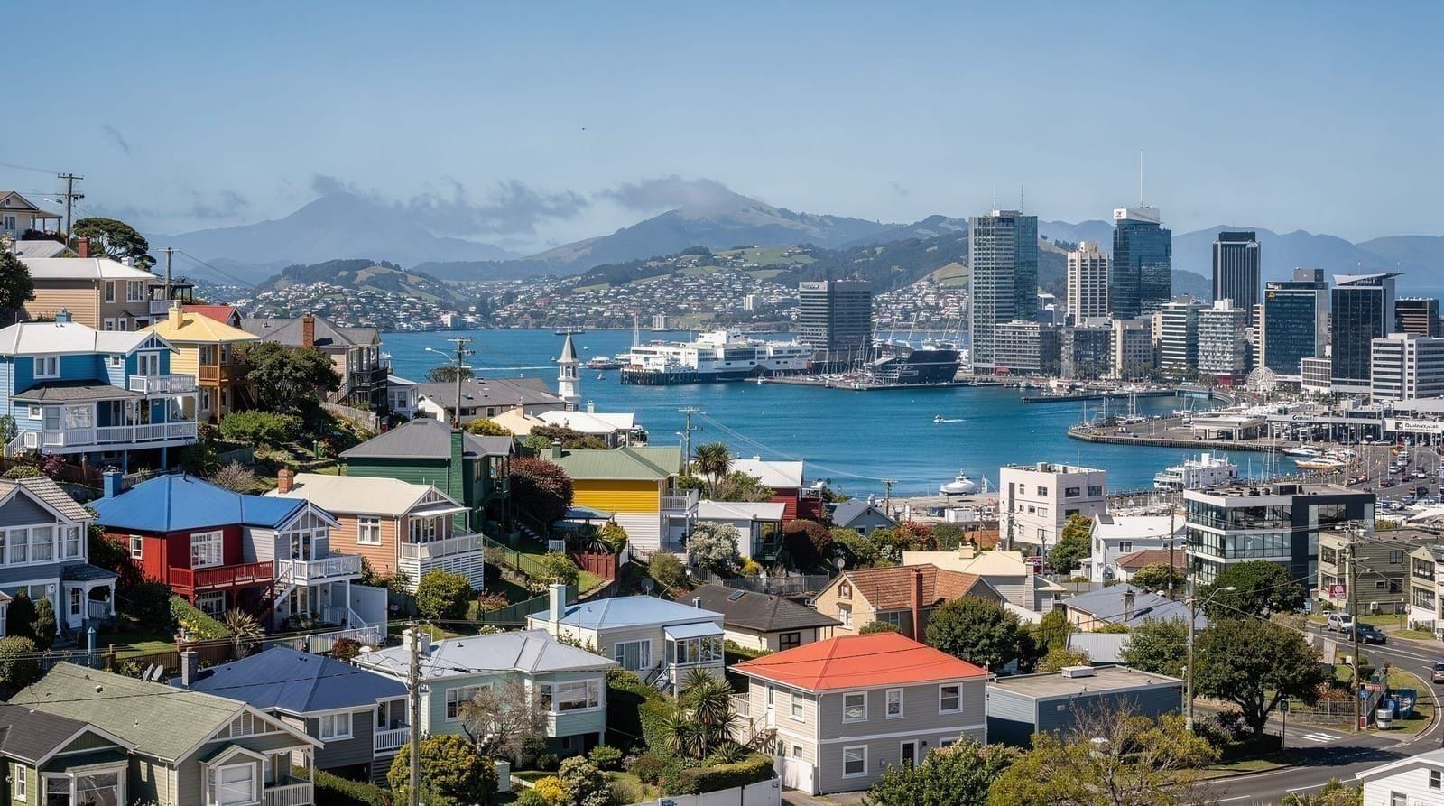 Wellington in 3 giorni: l'itinerario completo