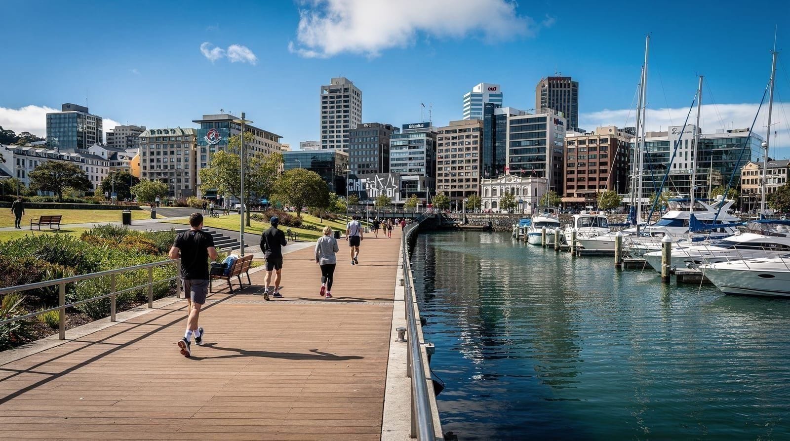 Wellington: eBike Around the Harbour then Ferry Back