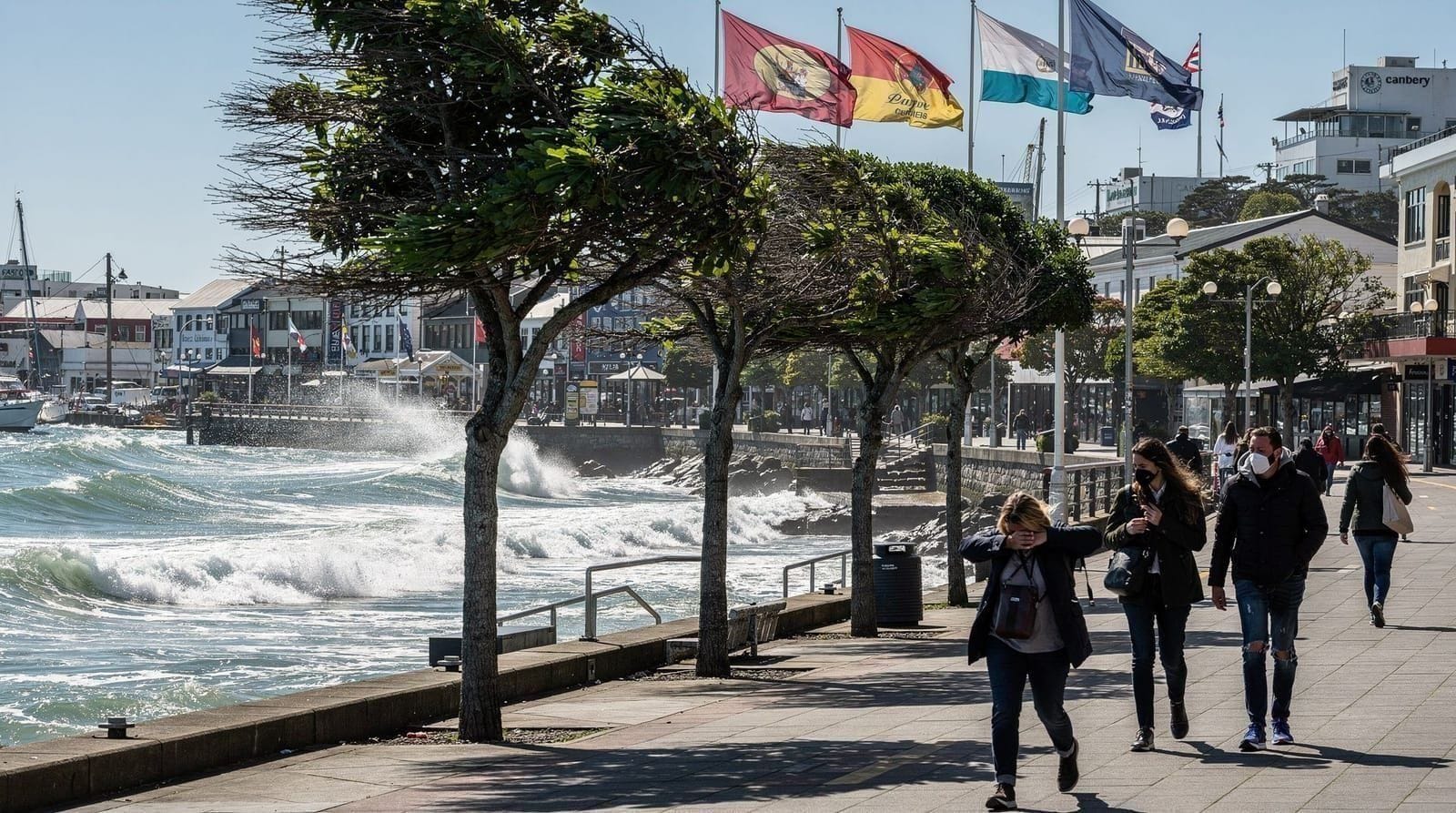 Wellington wind survival guide — A practical guide to Wellington's famous wind — how strong it gets, which street