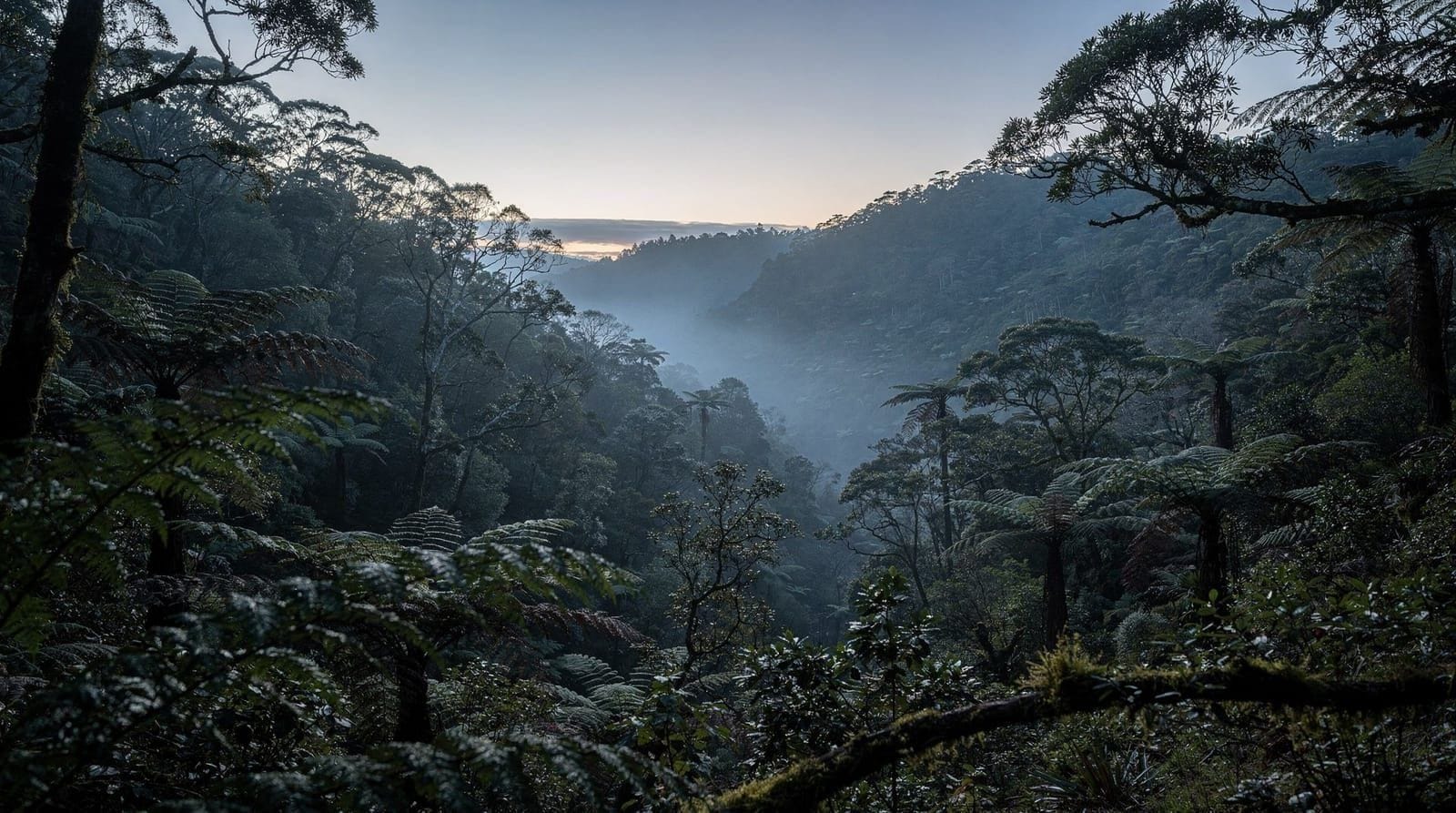 Wellington: Zealandia Night Tour, Exhibit & Sanctuary