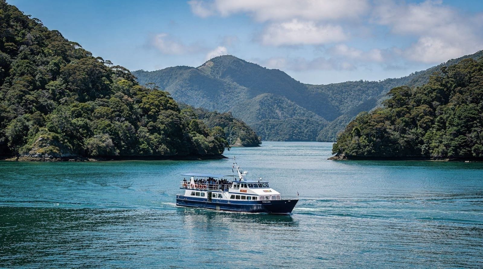 Marlborough Sounds cruise review: is it worth the trip from Picton? — Honest review of the Marlborough Sounds and Ship Cove cruise from Picton: real p